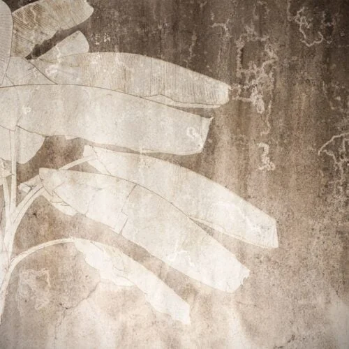 Tapet Daguerre Reflection Maro 2