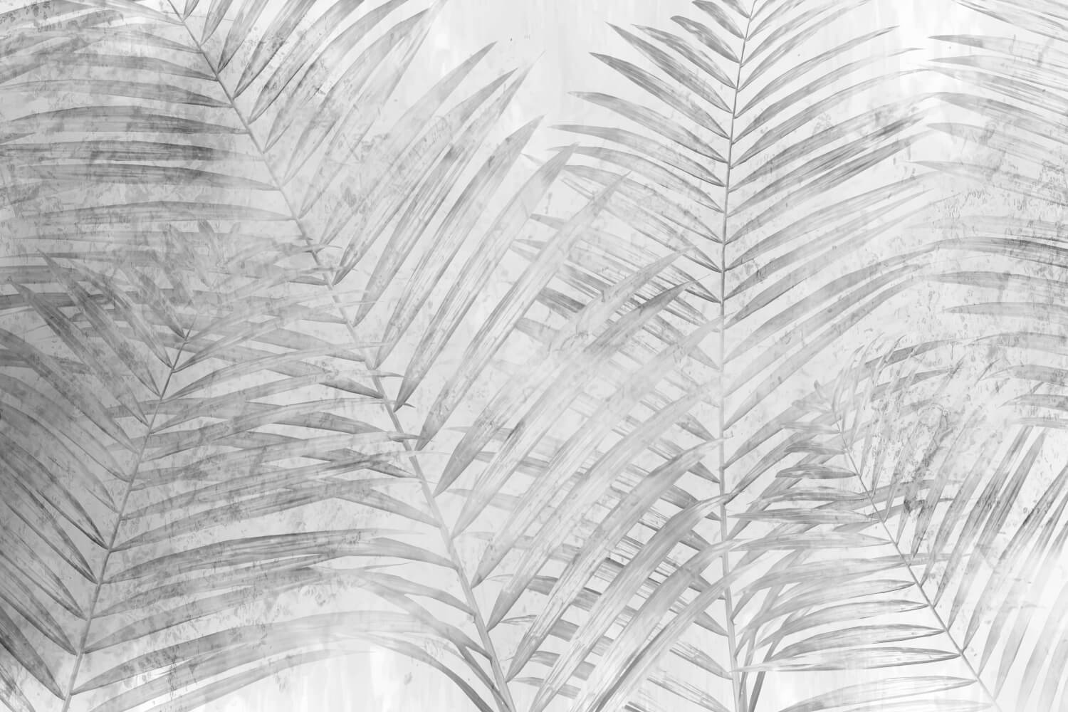 Tropical Nature Frunze Plante Exotic Mural Wallpaper Fototapet Personalizat Zenaria Tapet Silverleaf Palms