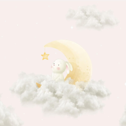 Stars and Cloud Cer si Iepure Mural Wallpaper Fototapet Personalizat Zenaria Tapet Moonlight Bunny